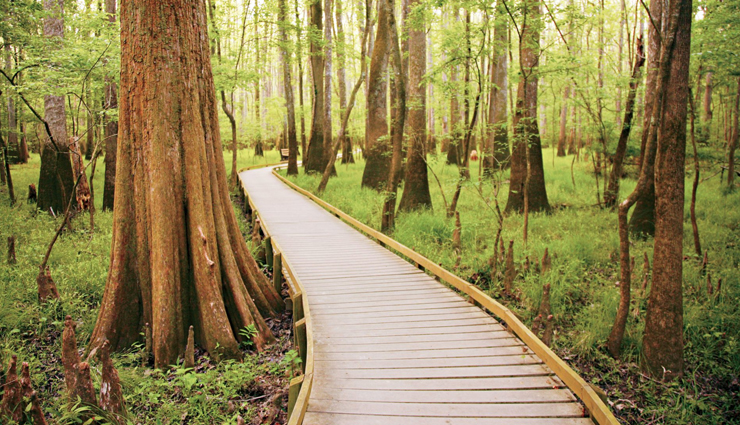 least crowded national parks,national parks to visit around the world,canyonlands national park,utah,north cascades national park,washington,dry tortugas national park,florida,kings canyon national park,california,lake clark national park & preserve,alaska,congaree national park,south carolina