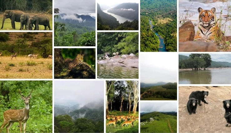 10 Must Visit National Parks in India