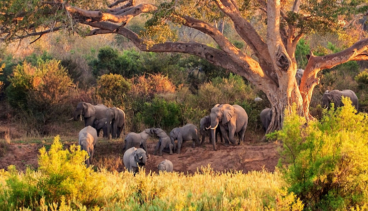 national parks,national parks in the world,must visit national parks,fiordland national park,new zealand,tikal national park,guatemala,kruger national park,south africa,galapagos national park,ecuador,kluane national park and reserve,canada,fuji-hakone-izu national park,japan