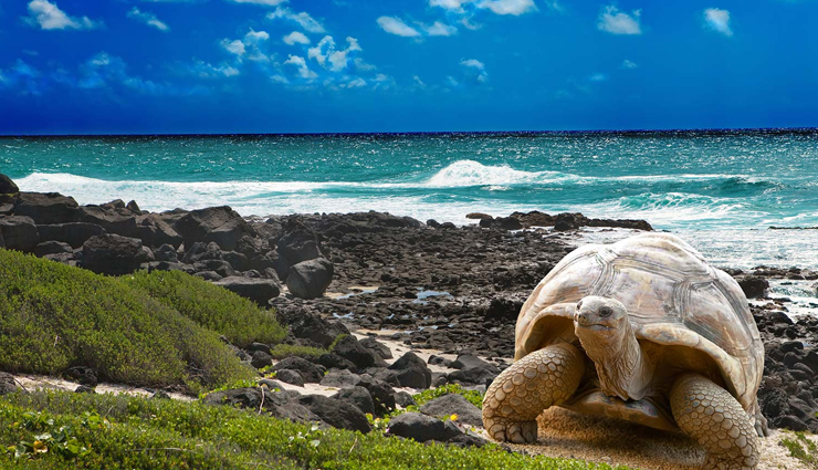 national parks,national parks in the world,must visit national parks,fiordland national park,new zealand,tikal national park,guatemala,kruger national park,south africa,galapagos national park,ecuador,kluane national park and reserve,canada,fuji-hakone-izu national park,japan