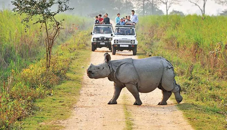 national parks in india,best national parks to visit in india,jim corbett national park india,gir forest national park india,ranthambore national park india,kaziranga national park india,kanha national park india,bandipur national park india,pench national park india,bandhavgarh national park india,periyar national park india,keoladeo national park india,indian wildlife tourism,india safari tours,india bird watching tours,india jungle safari,india tiger safari,india elephant safari,best time to visit indian national parks,india wildlife conservation efforts