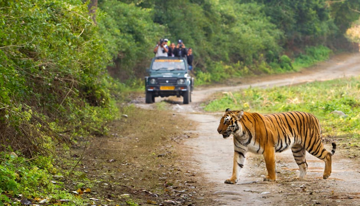 national parks to visit in india,india,nagarahole national park,karnataka,kaziranga national park,assam,hemis national park,ladakh,sunderbans national park,west bengal,corbett national park,uttarakhand