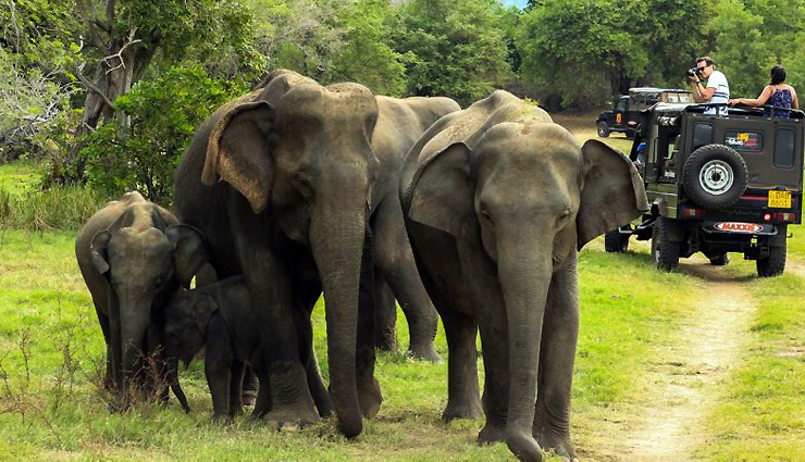 national parks in india,best national parks to visit in india,jim corbett national park india,gir forest national park india,ranthambore national park india,kaziranga national park india,kanha national park india,bandipur national park india,pench national park india,bandhavgarh national park india,periyar national park india,keoladeo national park india,indian wildlife tourism,india safari tours,india bird watching tours,india jungle safari,india tiger safari,india elephant safari,best time to visit indian national parks,india wildlife conservation efforts