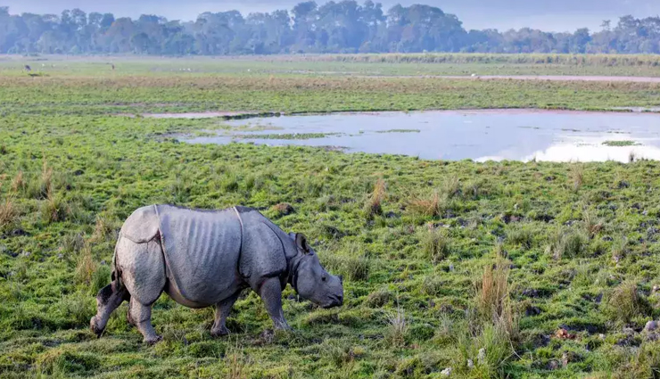 9 Must Visit National Parks in North East India