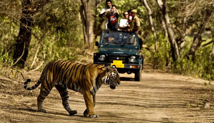 5 National Parks of North India You Must Visit