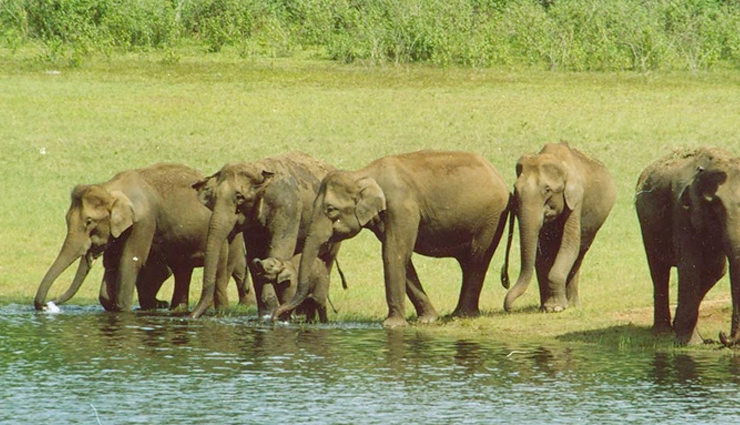 10 National Parks and Wildlife Sanctuaries in Tamil Nadu