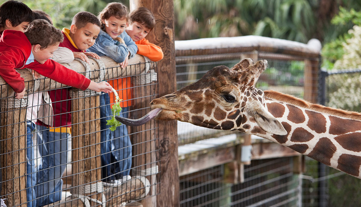 must visit zoo in the world,zoo,travel,travel guide,travel tips,holidays