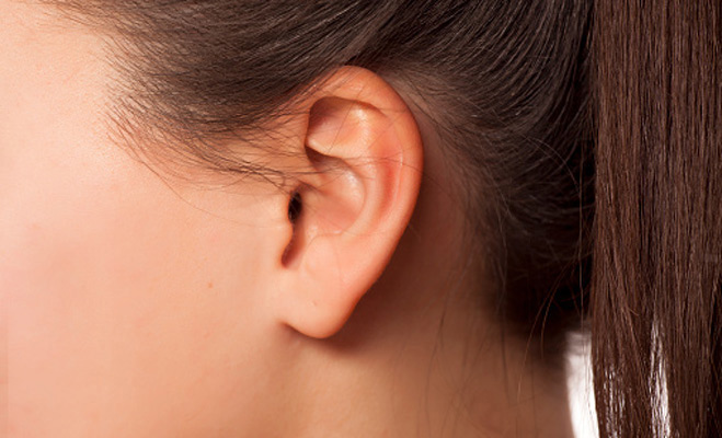 nature of person with round ear,round ear,personality