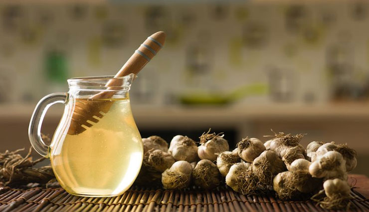 5 Food Items That Act As Natural Antibiotics