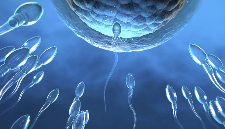 8 Major Pros and Cons of Natural Birth Control