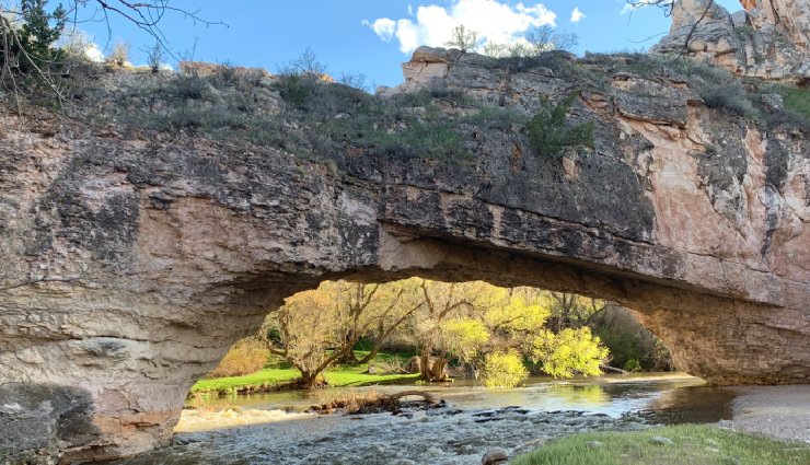 wyoming travel,things to do in wyoming,yellowstone national park,grand teton,wyoming wilderness,cowboy state,wyoming attractions,great plains,scenic places in wyoming,hiking in wyoming,wyoming geysers,hot springs wyoming,wildlife in wyoming