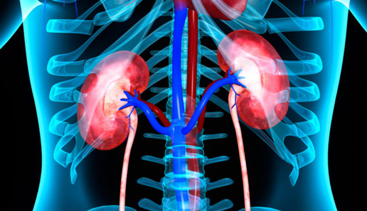 warm water,warm water health benefits,warm water good for health,Lemon,lemon health benefits,lemon good for health,honey,honey health benefits,honey good for health,healthy food,Health,Health tips