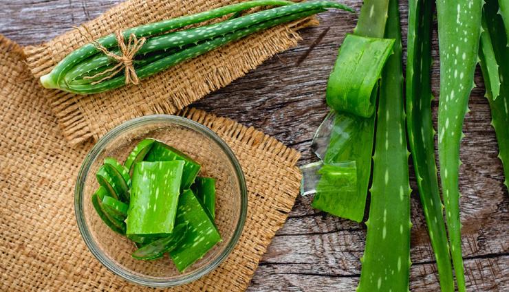 aloe vera,sage,thyme,peppermint,chamomile,natural home remedy,herbs as home remedies,home remedies,Health tips,fitness tips,summer tips
