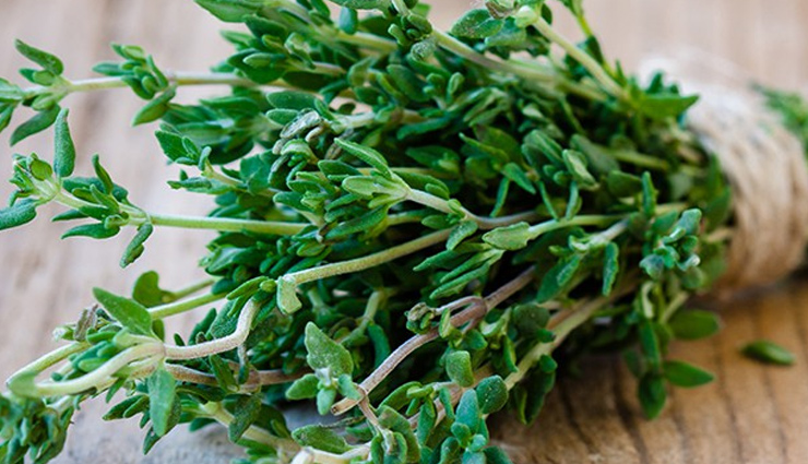 aloe vera,sage,thyme,peppermint,chamomile,natural home remedy,herbs as home remedies,home remedies,Health tips,fitness tips,summer tips