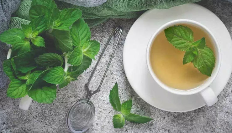 aloe vera,sage,thyme,peppermint,chamomile,natural home remedy,herbs as home remedies,home remedies,Health tips,fitness tips,summer tips