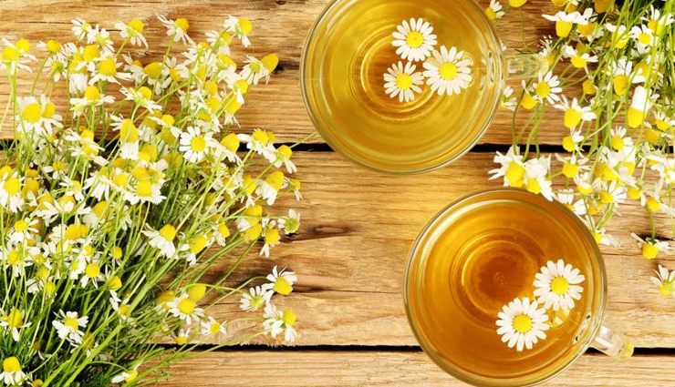 aloe vera,sage,thyme,peppermint,chamomile,natural home remedy,herbs as home remedies,home remedies,Health tips,fitness tips,summer tips