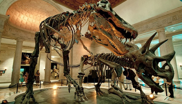 los angeles,places to visit in los angeles,los angeles travel,warner bros studio tour,peterson automotive,la brea tar pits,oue skyspace,natural history museum,trael,tourism