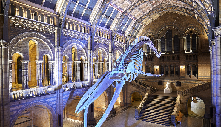 free museums london,museums to visit in london for free,london free museums,best free museums in london,free entry museums london,explore museums in london for free,london museums without admission fee,top free museums in london,must-visit free museums in london,free entry to london museums,free london museum attractions,enjoy free museums in london,discover london free museum options,free museum tours in london,london no-cost museum experiences