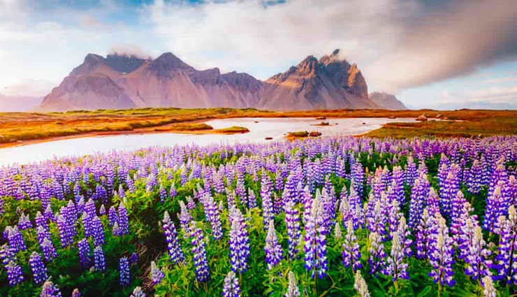 5 Fascinating Natural Places To Visit in India