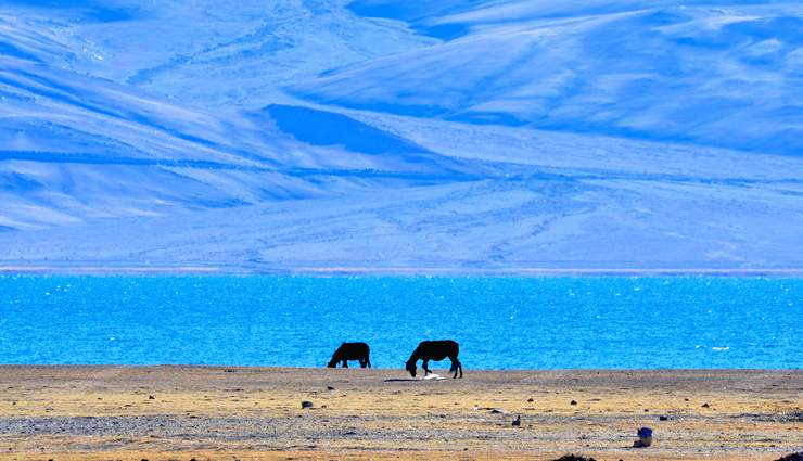parvati valley,himachal pradesh,kerala backwaters,tyda,andhra pradesh,tso moriri wetland conservation reserve,ladakh,mawlynnong,meghalaya,places in india,places in india for nature lovers,natural places in india,india