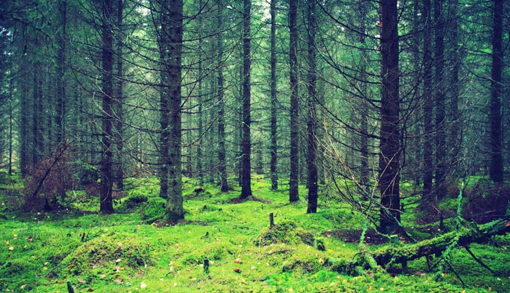 4 Resources We Are Wasting at Maximum Rate