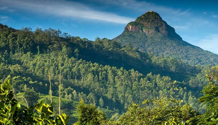 natural sights in sri lanka,natural places in sri lanka,sri lanka,sigiriya,the hill country,beaches,wildlife