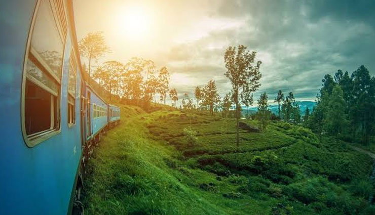 natural sights in sri lanka,natural places in sri lanka,sri lanka,sigiriya,the hill country,beaches,wildlife