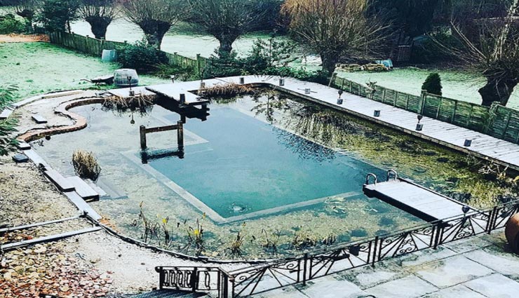 अनोखा स्विमिंग पूल जहां पौधों की जड़ों से निकलता हैं पानी, नहीं पड़ती सफाई की जरूरत