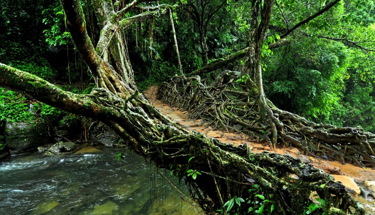 natural wonders to visit in india,india,places to visit in india,living root bridge cherrapunjee,meghalaya,magnetic hills ladakh,lonar crater lake maharashtra,dudhsagar falls goa,valley of flowers uttarakhand,amarnath cave,uttarakhand