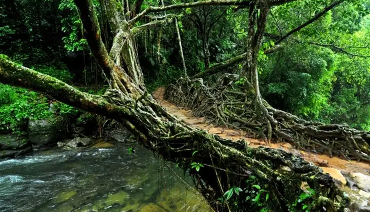 natural wonders,natural wonders in india,places to visit in india,wettest place on the planet,living root bridges,worlds only floating national park,meteor created lake,hide & seek beach,south asias only active volcano