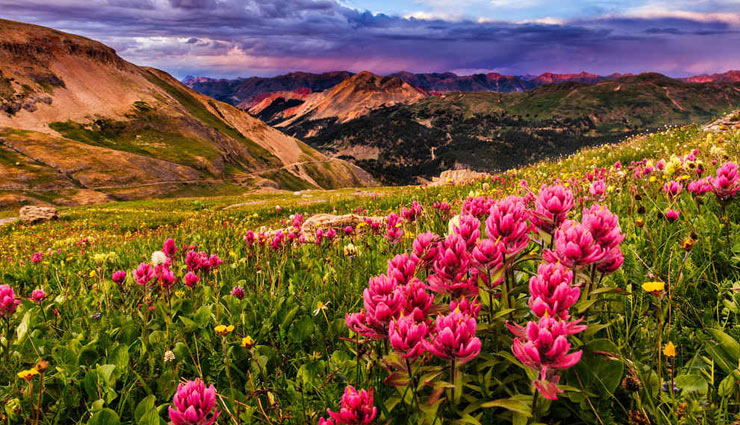 पर्यटकों को अपनी ओर आकर्षित करता हैं नौकुचियाताल, यहां घूमने का अभी बेहतरीन समय
 
