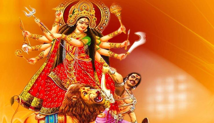 नवरात्रि 2020 : प्रथम दिन पर ही करें कौड़ियों से जुड़े ये उपाय, धन संबंधित सभी परेशानियों का होगा अंत