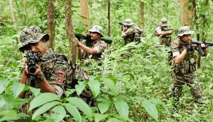 छत्तीसगढ़: 80 दिन में 113 नक्सली ढेर, गृह मंत्री अमित शाह ने कहा - 31 मार्च तक देश को नक्सल मुक्त बनाना है