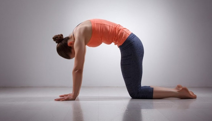 neck pain is troubling you,these 8 yoga poses will help you get rid of it,Health,healthy living,healthy yoga tips,yoga for good health,healthy news in hindi