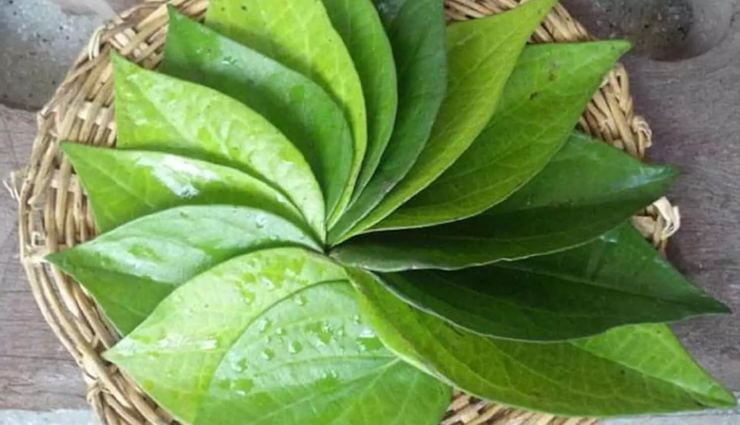 sore throat bothers in winter,these measures will give relief,Health,healthy living