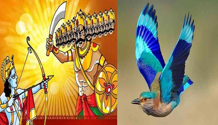 Dussehra 2019: आखिर क्यों माना जाता हैं दशहरे पर नीलकंठ पक्षी को देखना शुभ, श्रीराम से जुड़ा है नाता