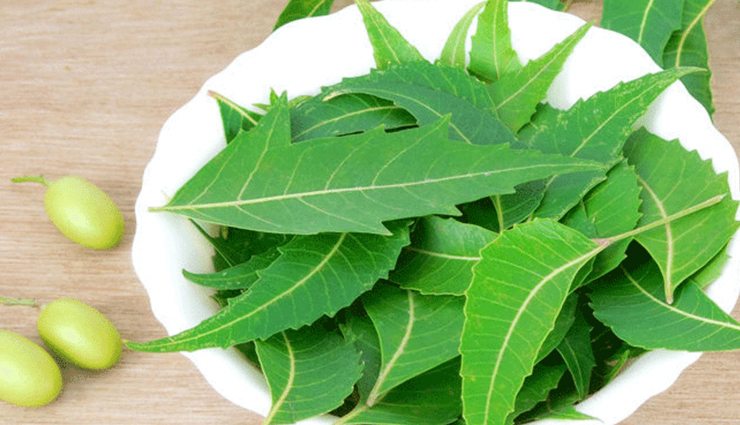 5 ayurvedic herbs that will boost your hair growth,Health,healthy living