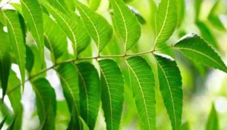 chickenpox,chickenpox treatment,home remedies to treat chickenpox,natural remedies for chickenpox,Health,Health tips