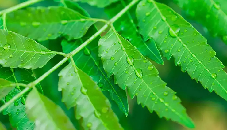 hair growth,hair growth tips,hair care tips,hare care,hair,hair problem,hair growth tips,beauty hacks,beauty tips