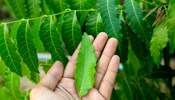 gharelu upay for baltod,herbal remedies for boils,how to cure baltod naturally,best medicine for boils,quick relief for baltod,home treatment for boils,remedies for skin boils,baltod removal methods,ayurvedic treatment for boils,natural remedies for skin abscess,effective cures for baltod,homeopathic medicine for boils,preventing and healing boils,fast relief from skin abscess,boils treatment at home,remedies for painful boils,herbal solutions for baltod,बालतोड़ का घरेलू उपाय,बालतोड़ की दवा,बालतोड़ के लिए आयुर्वेदिक उपचार,बालतोड़ से छुटकारा पाने के उपाय,बालतोड़ का इलाज घर पर,बालतोड़ से बचाव के उपाय,बालतोड़ का होम्योपैथिक इलाज,बालतोड़ की चिकित्सा विधियाँ,बालतोड़ की दर्दनाक स्थितियों के लिए उपाय