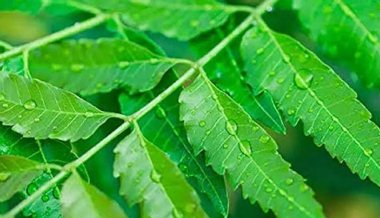 menstrual pad rashes,sanitary pad rash remedies,natural remedies for pad rash,period rash treatment,pad rash causes,how to treat pad rashes,menstrual hygiene,pad rash relief,skin irritation from pads,natural healing for pad rash