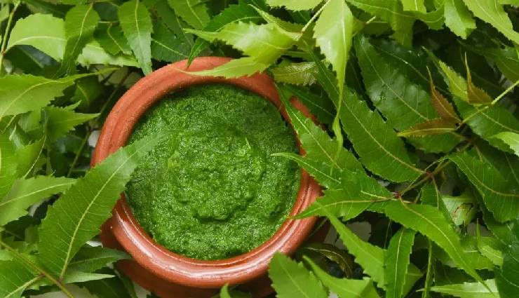 scalp irritation,itchy scalp remedies,dry scalp treatment,flaky scalp,causes of scalp irritation,home remedies for scalp irritation,natural scalp care,aloe vera for scalp,coconut oil for scalp,neem for scalp,apple cider vinegar scalp treatment