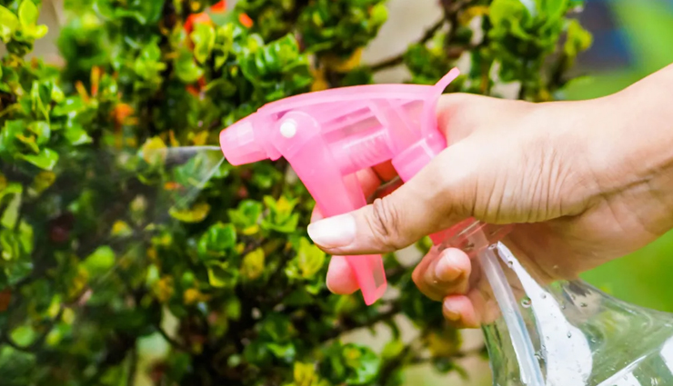 neem,health benefits of neem,Health tips,fitness tips