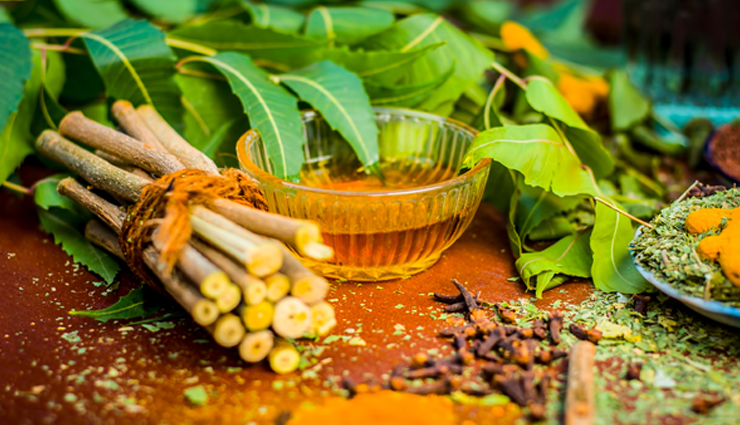 मोतियों जैसे चमकेंगे दांत, मुंह की बदबू से भी मिलेगा छुटकारा, बस करना होगा ये काम neem stick dental benefits,neem twigs oral health advantages,benefits of using neem datun,neem twig for dental hygiene,neem toothbrush health benefits,neem twig oral care perks,neem datun benefits for teeth,neem stick for oral hygiene,dental benefits of neem twigs,neem twig advantages for oral health,नीम दातून के लाभ,नीम की ट्विग के फायदे,नीम टूथब्रश के फायदे,दांतों के लिए नीम की ट्विग,नीम दातून स्वास्थ्य लाभ,नीम का टूथब्रश लाभ,नीम ट्विग से ऑरल केयर,नीम की ट्विग दांतों के लिए,नीम डेंटल केयर बेनिफिट्स,नीम ट्विग के स्वास्थ्य लाभ