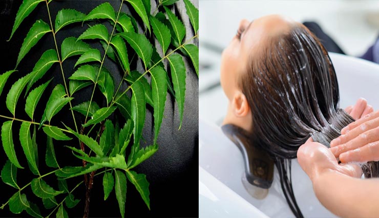 beauty tips,beauty tips in hindi,hair care tips,dandruff remedy,home remedies