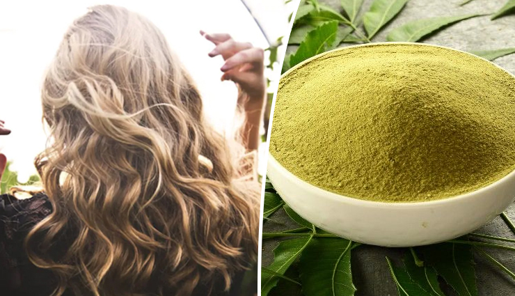6 Benefits of Using Neem Powder for Hair
