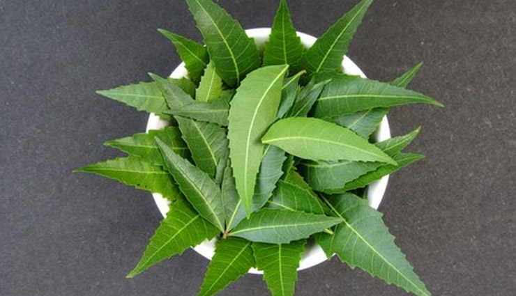 tulsi for skin,diy tulsi skincare,benefits of tulsi for skin,tulsi face mask for acne,tulsi and neem paste for acne,tulsi toner for glowing skin,tulsi oil for skin,tulsi anti-aging properties,natural skincare with tulsi,tulsi for clear skin,tulsi home remedies,tulsi face pack for brightening,tulsi and yogurt face pack,tulsi remedies for acne