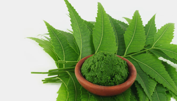 5 benefits of neem,neem,neem tree,neem uses,neem medicinal uses,uses of neem leaves,neem leaves