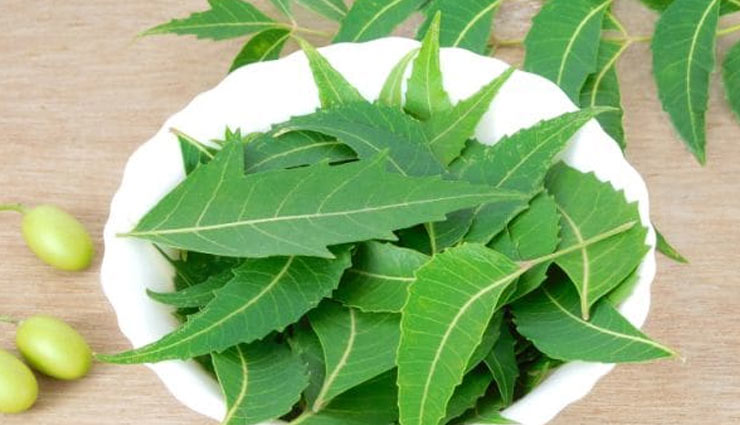 5 Amazing Health Benefits of Eating Neem Leaves