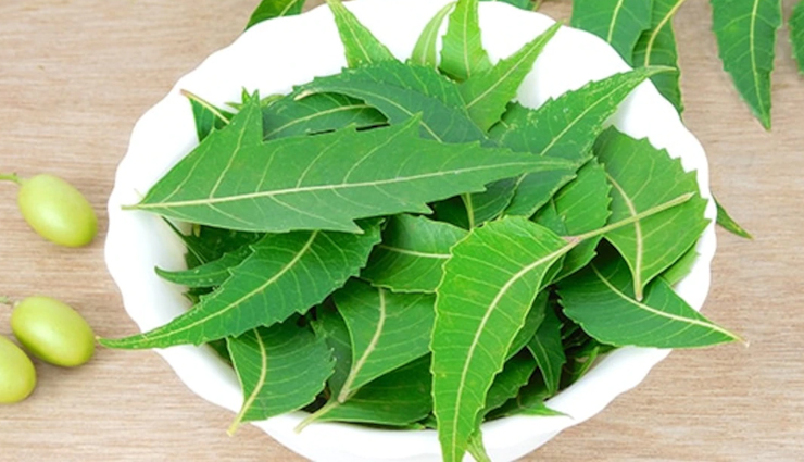 dengue outbreak symptoms,dengue precautions and remedies,home remedies for dengue,dengue prevention tips,symptoms of dengue fever,dengue virus major symptoms,dengue mosquito bite symptoms,how to treat dengue at home,dengue home remedies,dengue infection precautions,dengue major signs,dengue prevention tips,papaya leaf juice for dengue,natural remedies for dengue,dengue fever care tips,ways to prevent dengue